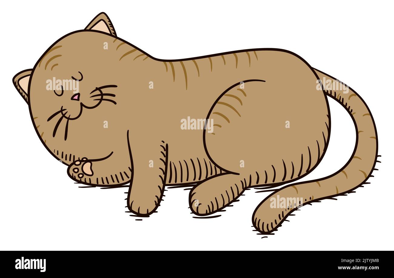 Cute and striped cat lying down and taking a nap, in hand drawn and cartoon style. Stock Vector