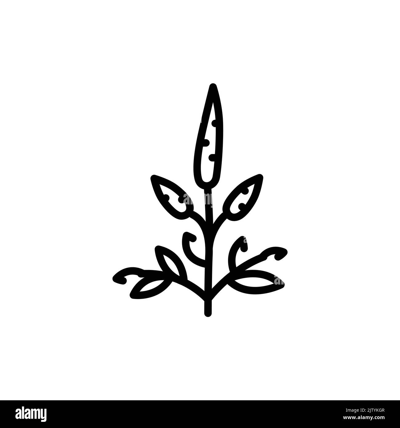 Patchouli olor line icon pictogram for web page stock vector image