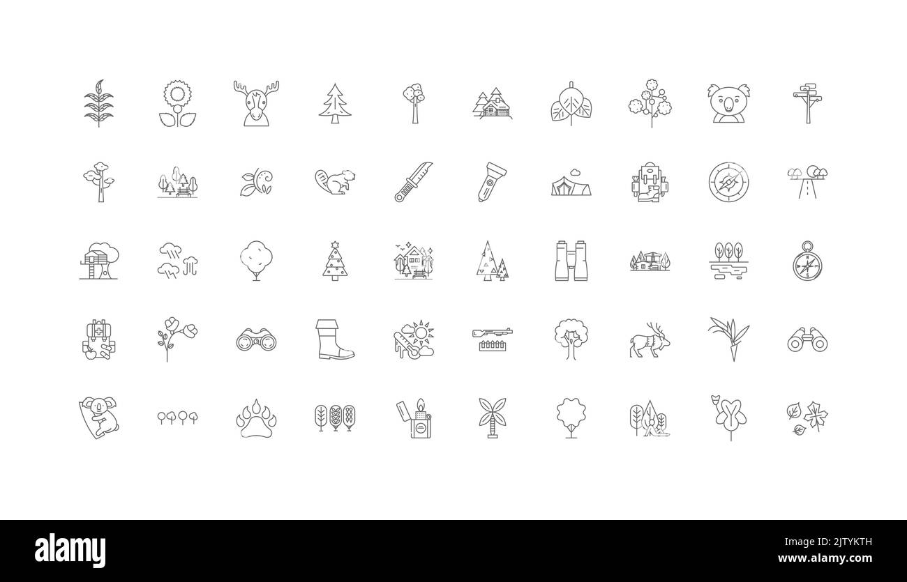 Forest ideas, linear icons, line signs set, vector collection Stock ...