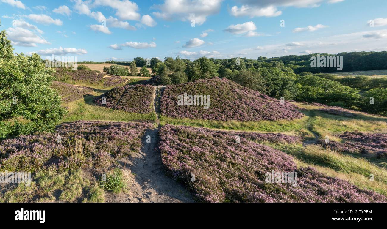 Panoramic view of the mysterious Pompocali earthworks in Yorkshire, UK. Stock Photo