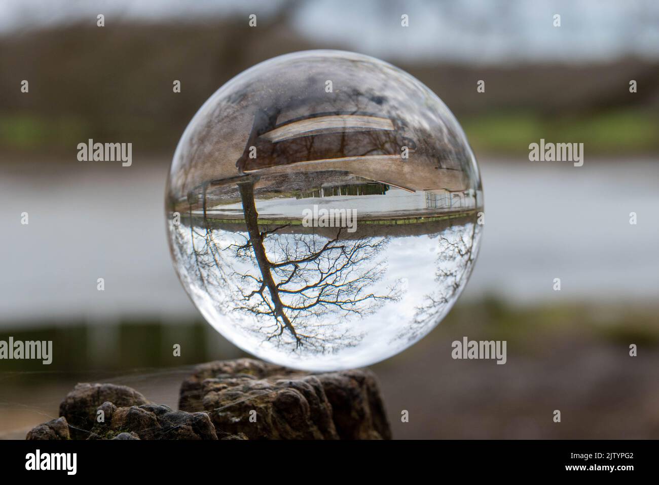 The River Hamble reflected upside down in a crystal ball balanced on a tree branch with the river and countryside blurred in the background Stock Photo