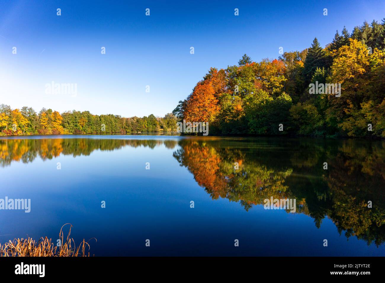 A beautiful view of colorful trees reflecting on Michelbach See water in Zaberfeld, Germany Stock Photo