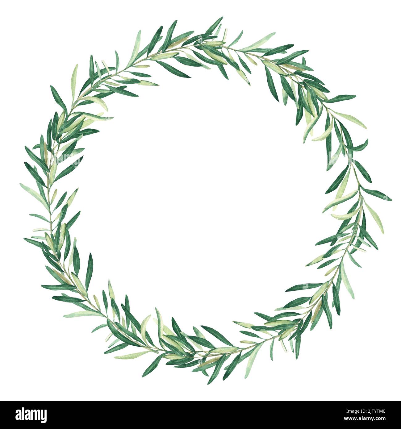Watercolor olive wreath. Isolated on white background. Hand drawn ...