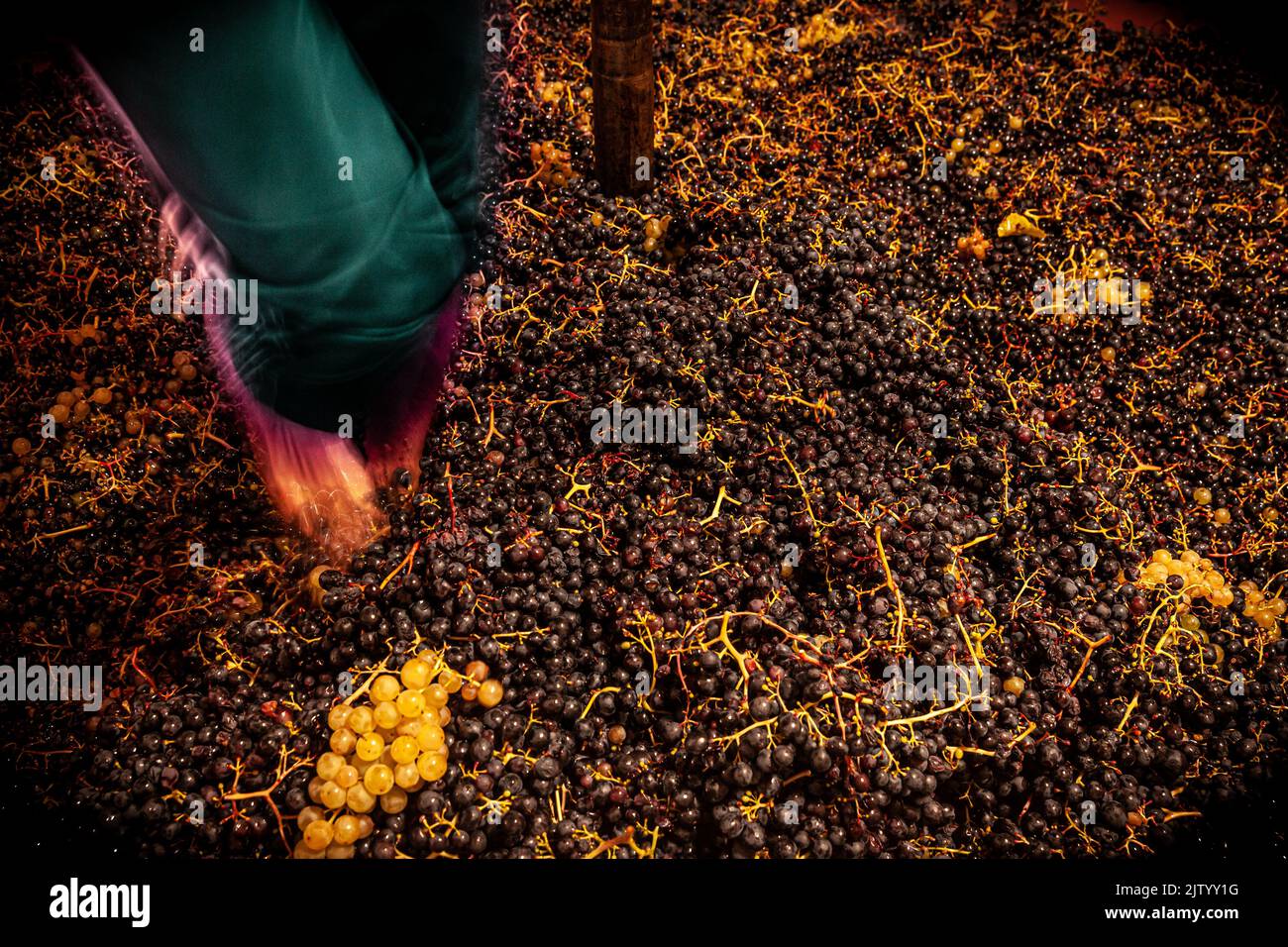 alternate grape on feet