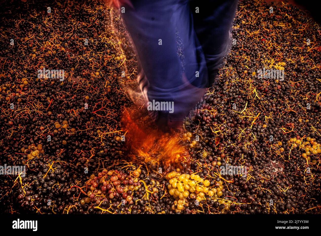 alternate grape on feet