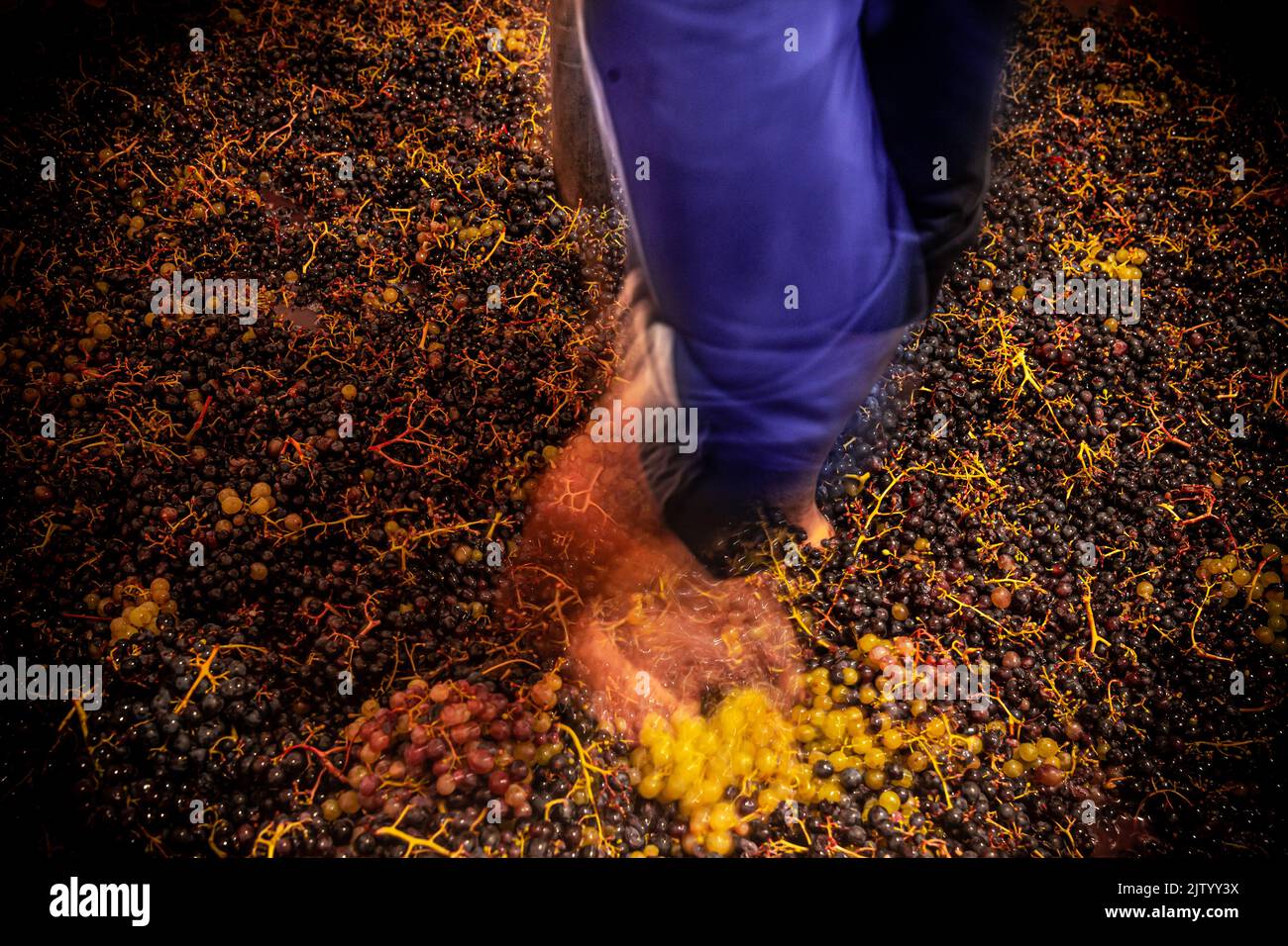 alternate grape on feet