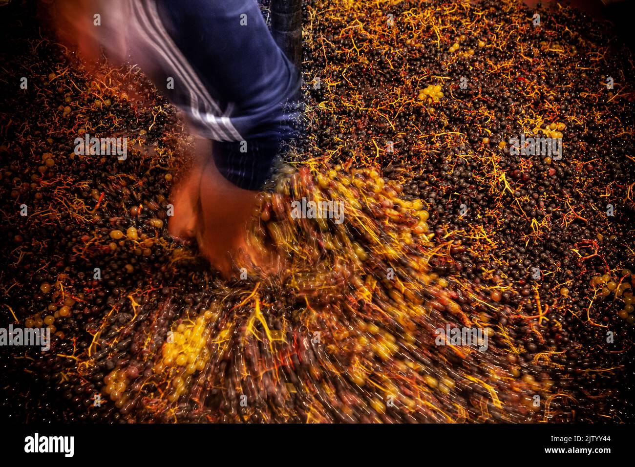 alternate grape on feet