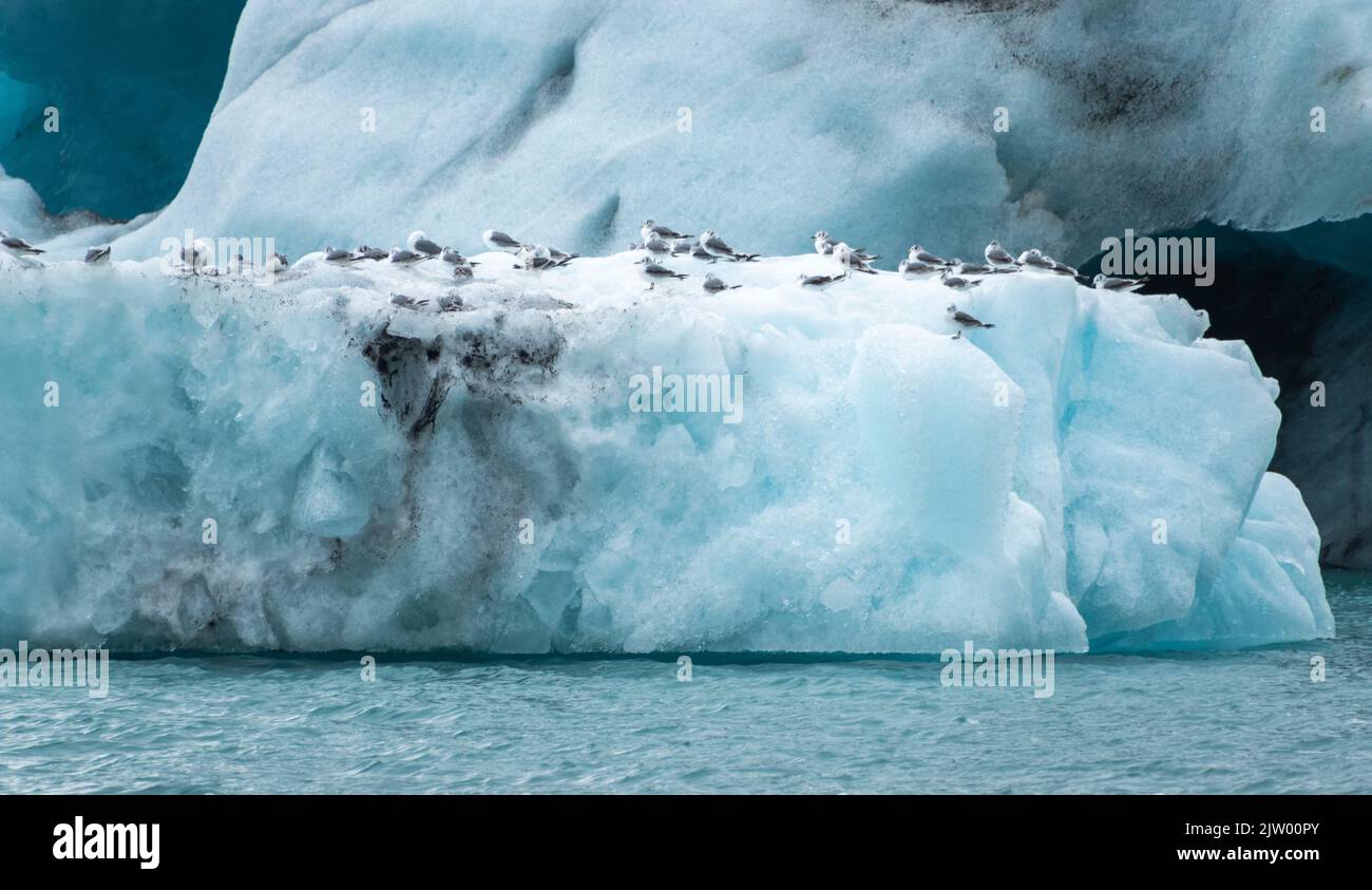 Icebergs floating in the glacial lagoon at Jökulsárlón in the Vatnajökull National Park of southern Iceland. Stock Photo