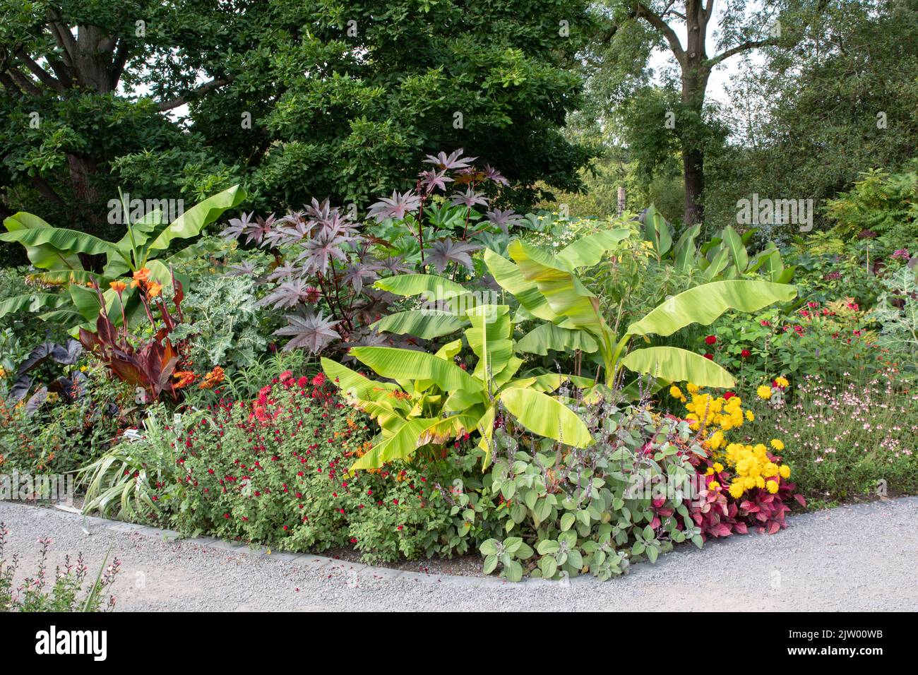 Tropical look flower bed at RHS Harlow Carr Stock Photo