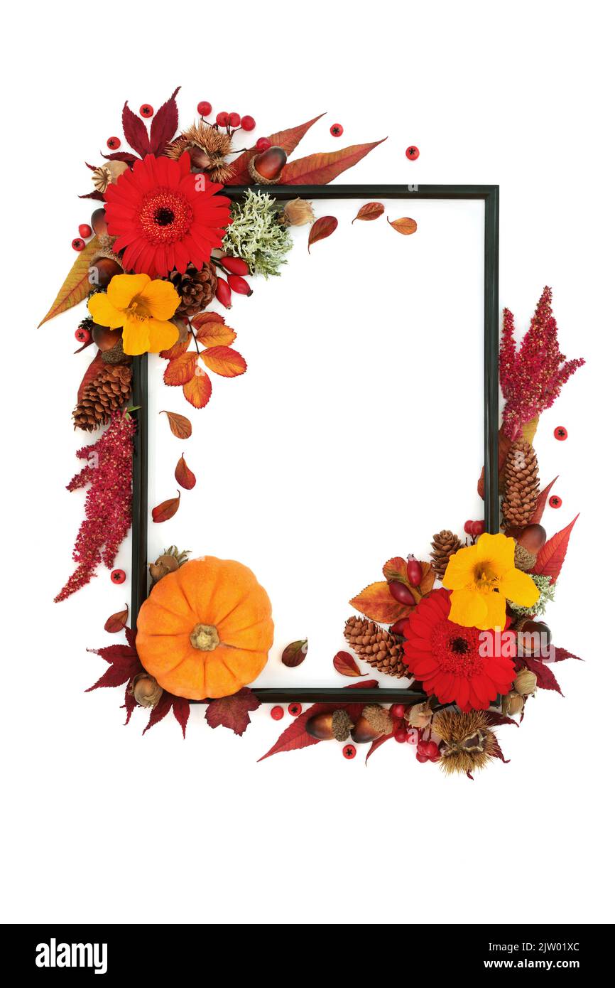Autumn and Halloween floral frame with leaves, flowers, berry fruit, nuts. Colourful Thanksgiving, harvest festival  abstract nature composition with Stock Photo