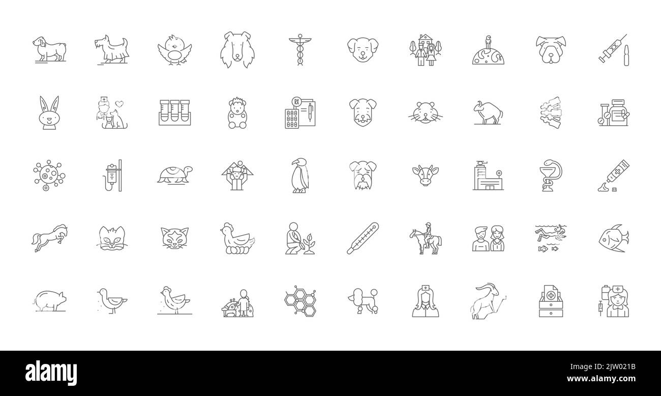 Animal care concept illustration, linear icons, line signs set, vector