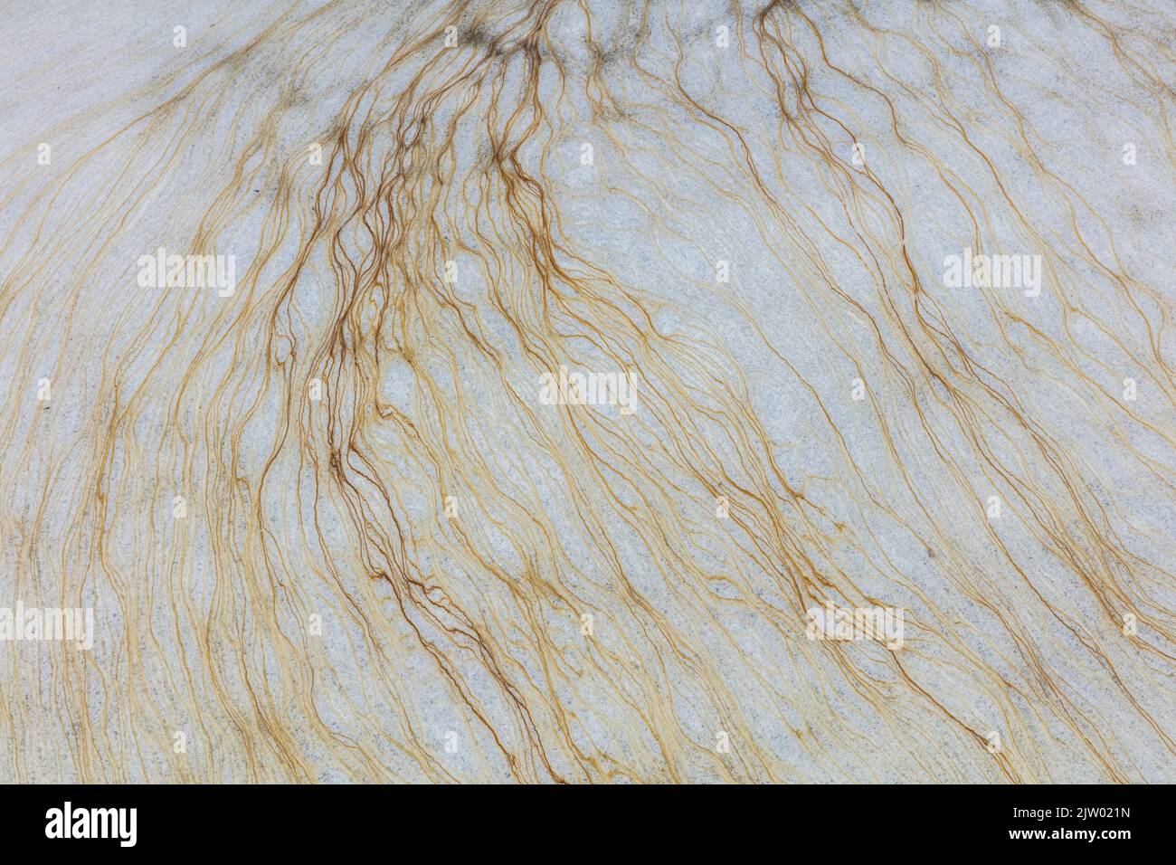 Pattern in coastal spew (natural sea foam), Northton, Isle of Harris, Outer Hebrides, Scotland, UK Stock Photo