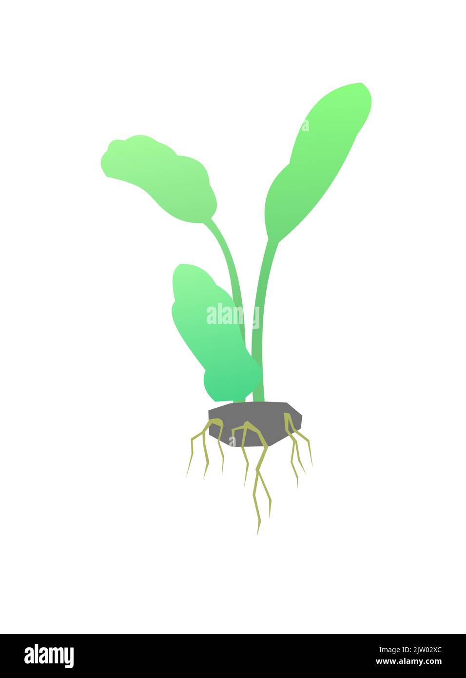 Seedling garden plants with roots. Sowing agricultural material. Isolated on white background. Single object icon. Vector. Stock Vector