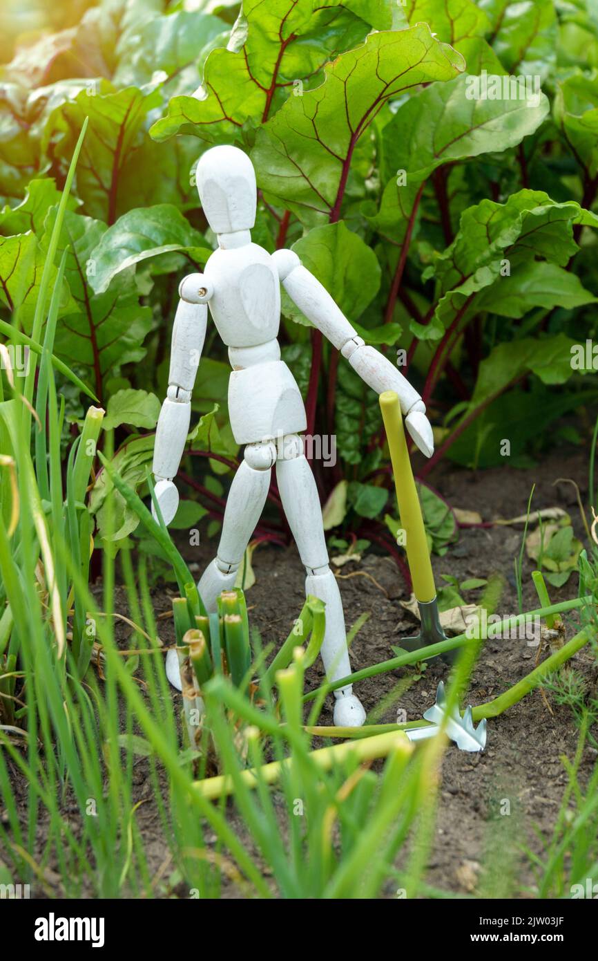 Gardener wooden mannequin works in the garden. Home gardening and plant