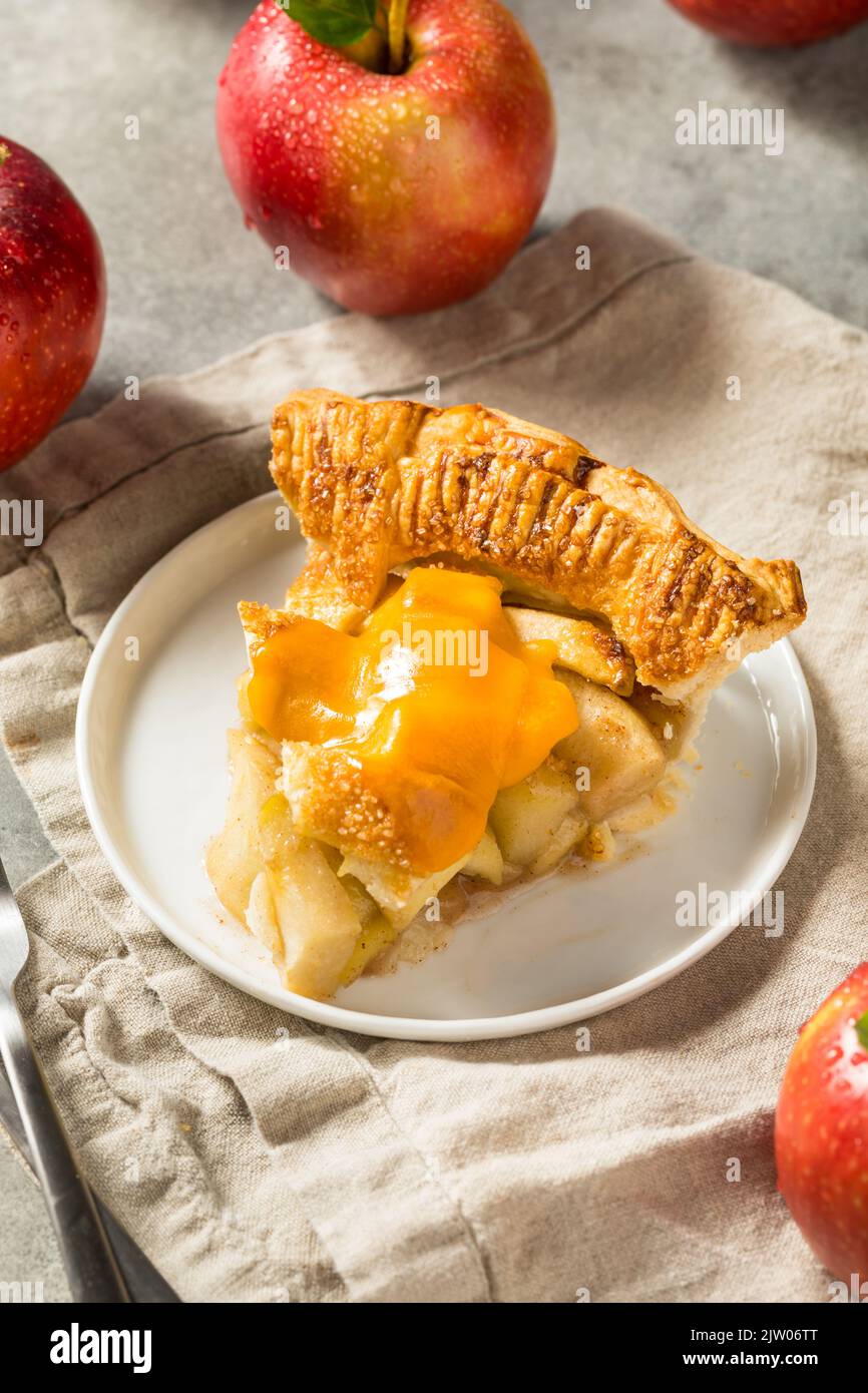 Homemade Sweet American Apple Pie with Cheddar Cheese Slice on Top