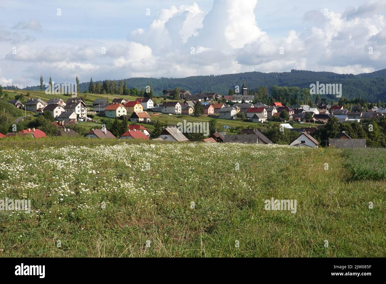 Vychodna, a village at the foot of Krivan Mountain, Slovakia, Europe. Stock Photo