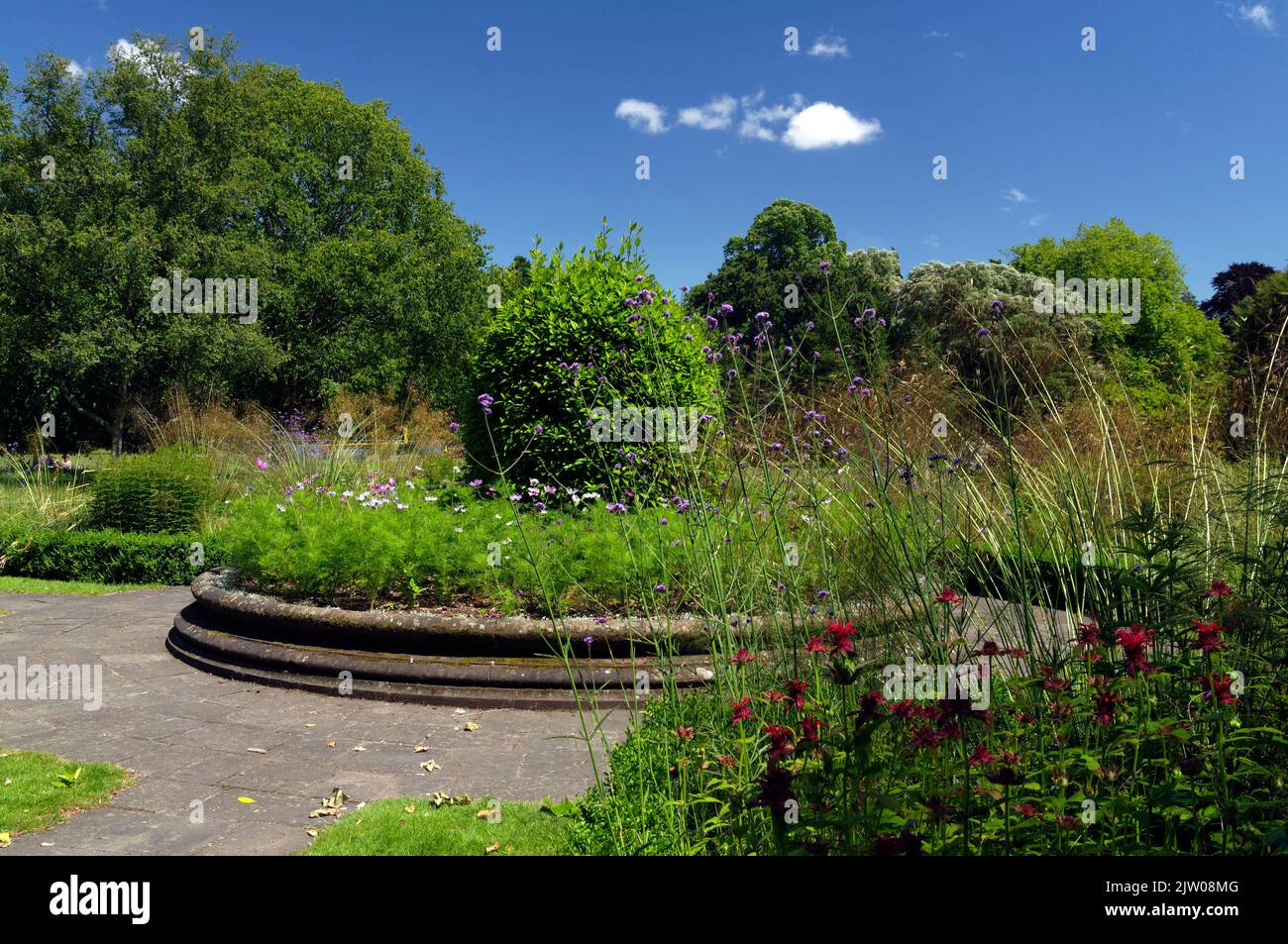 Topiary and raised flower beds. Castle Grounds / Bute Park / Cooper's
