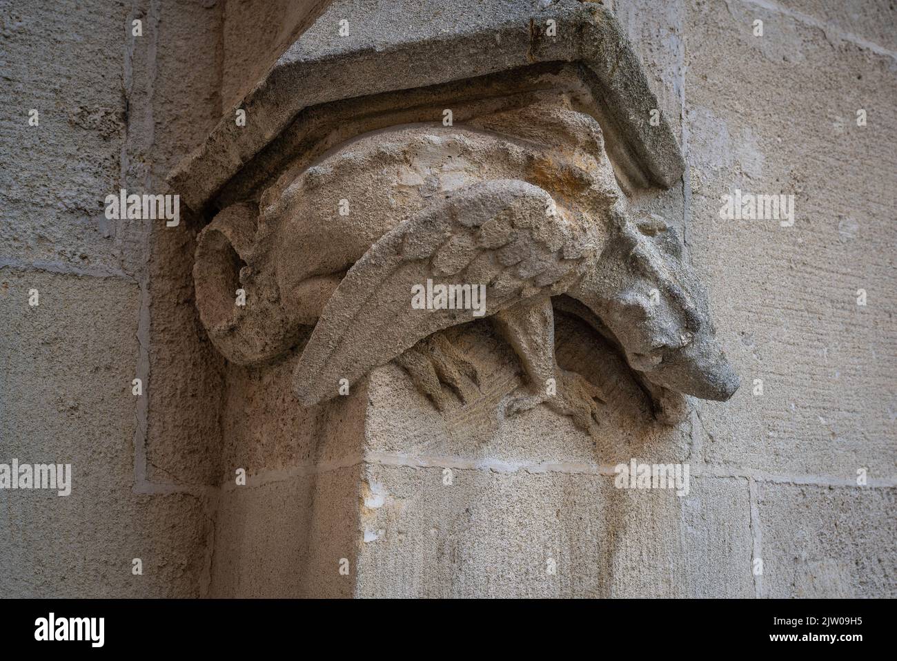 Dragon relief detail at the Old Town Hall - Bratislava, Slovakia Stock Photo