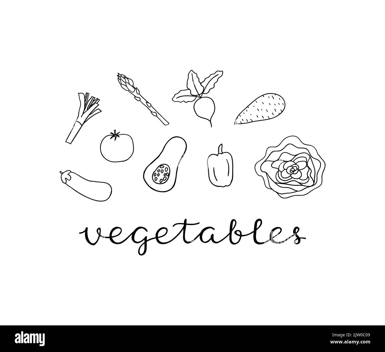 Composition with hand drawn outline vegetables and lettering on white background. Stock Vector