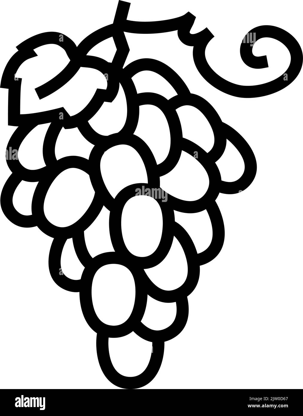 Grapes vineyard vine red leaves harvest black Stock Vector Images - Alamy