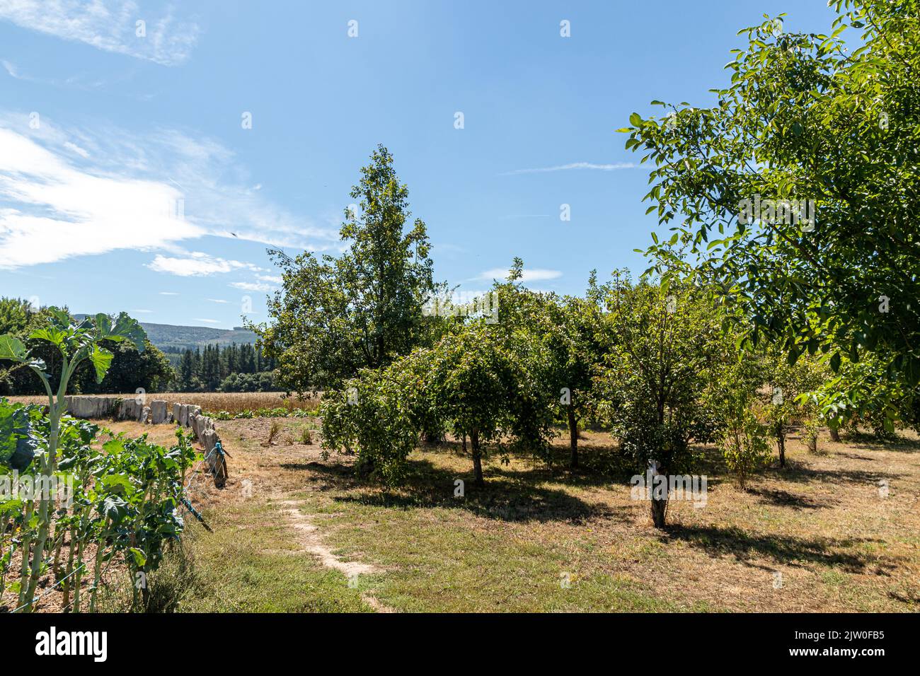 Boveda de Mera, Spain. Fields around this small Galician village Stock Photo