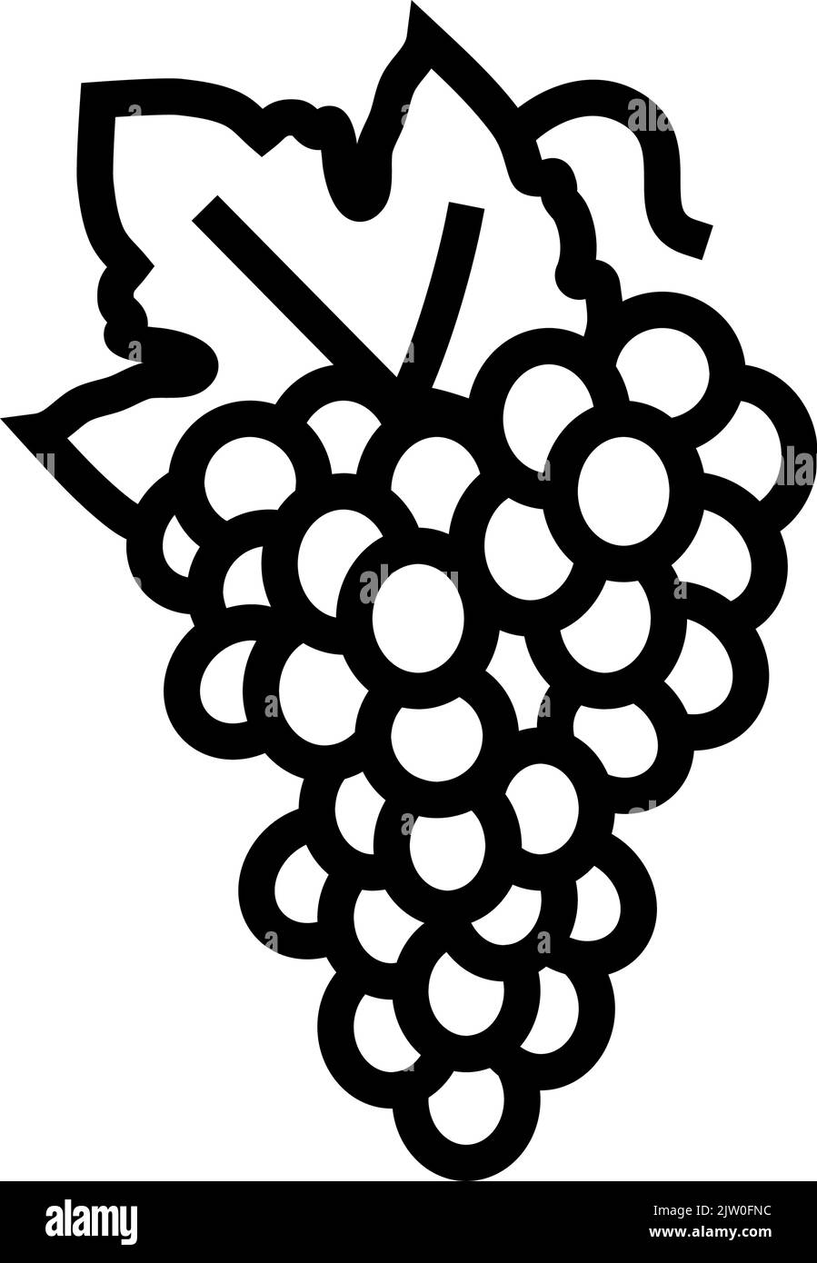 Grapes vineyard vine red leaves harvest black Stock Vector Images - Alamy