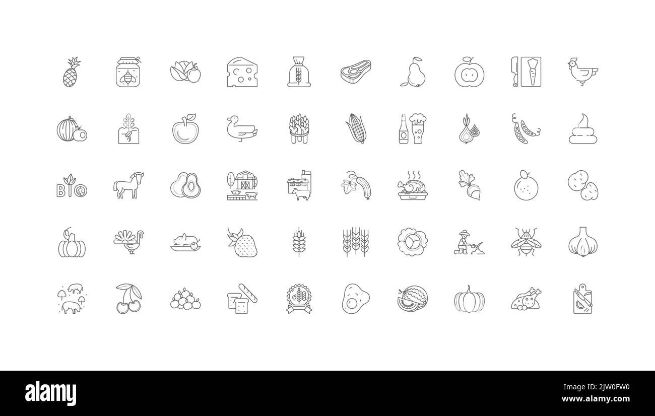 Organic food concept illustration, linear icons, line signs set, vector ...