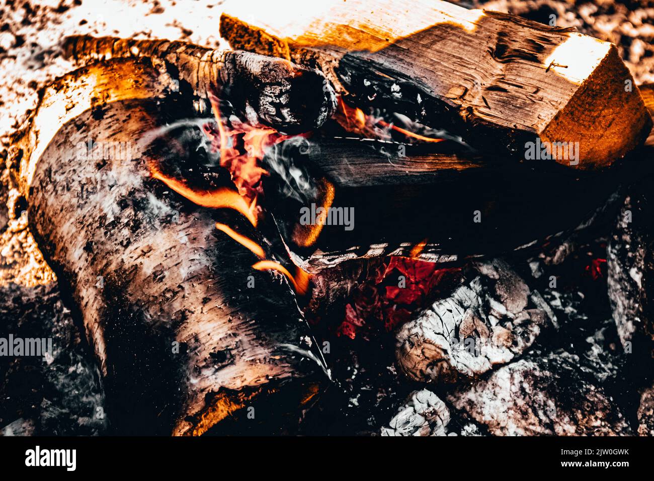 Birch firewood burning in a campfire. Stock Photo