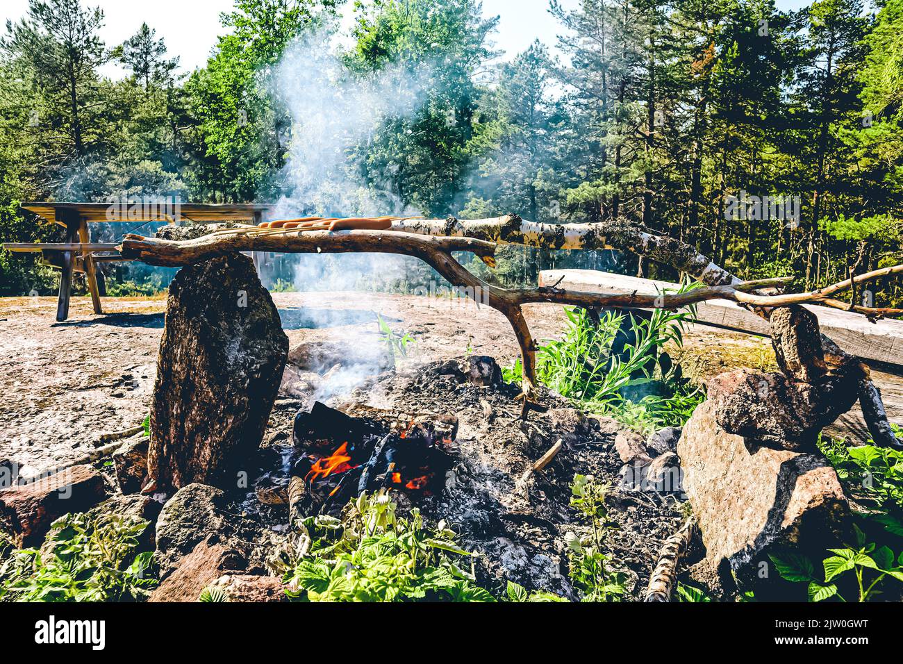 Grilling wieners on a campfire made by rocks and sticks in the Vilsta forest, Eskilstuna, Sweden. Stock Photo