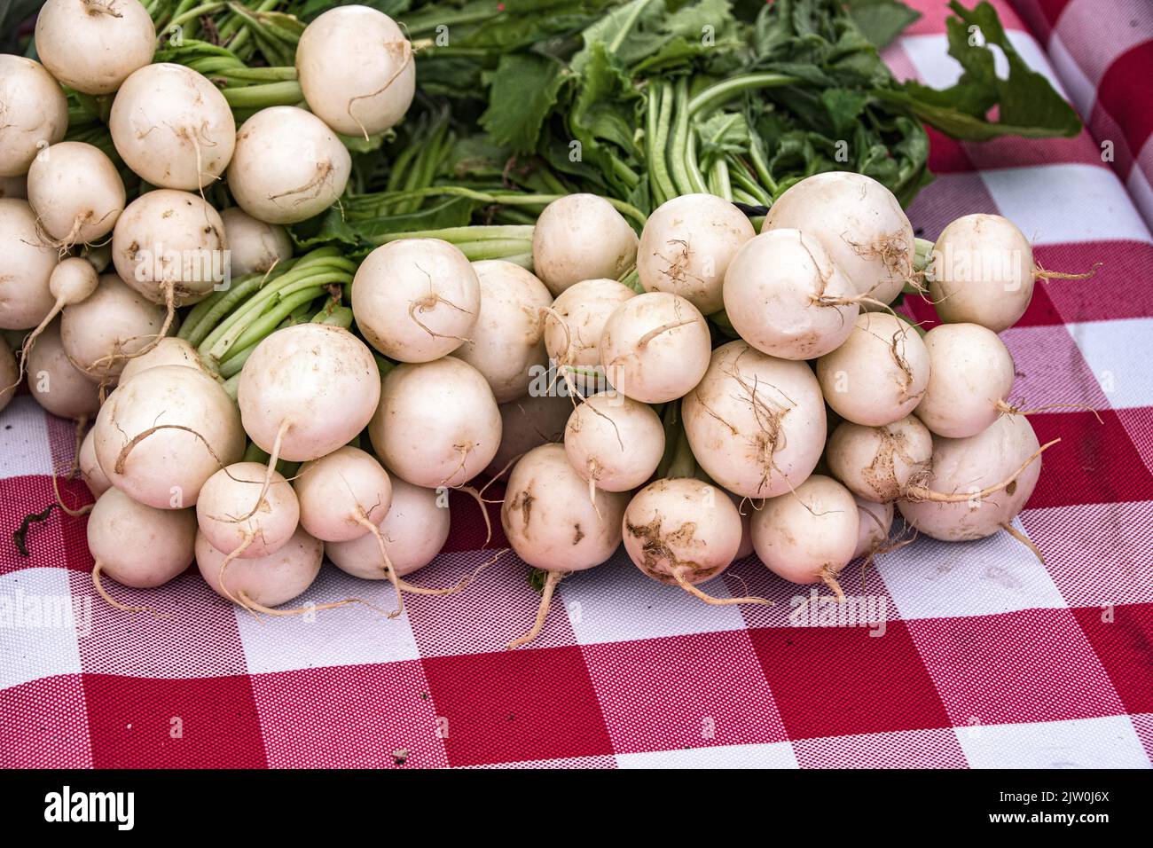A bunch of Baby White Turnips on display for sale at a local Farmers
