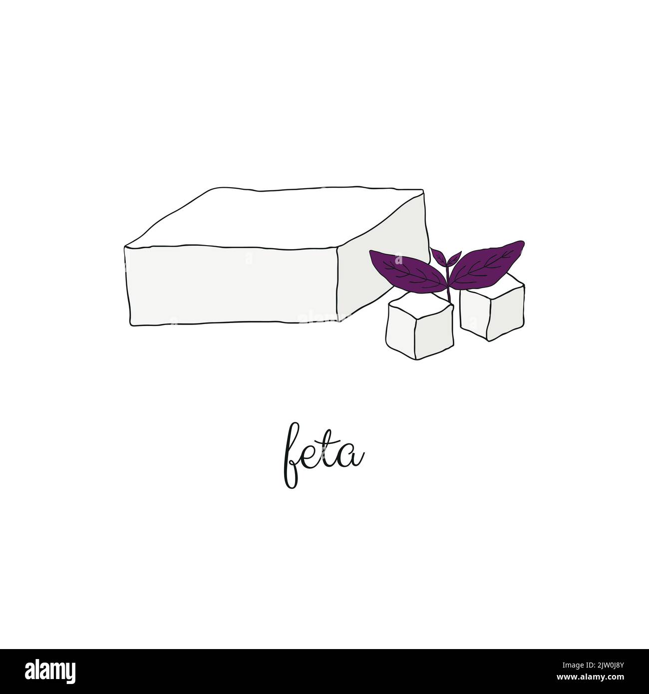 Hand drawn colored feta cheese with violet basil isolated on white