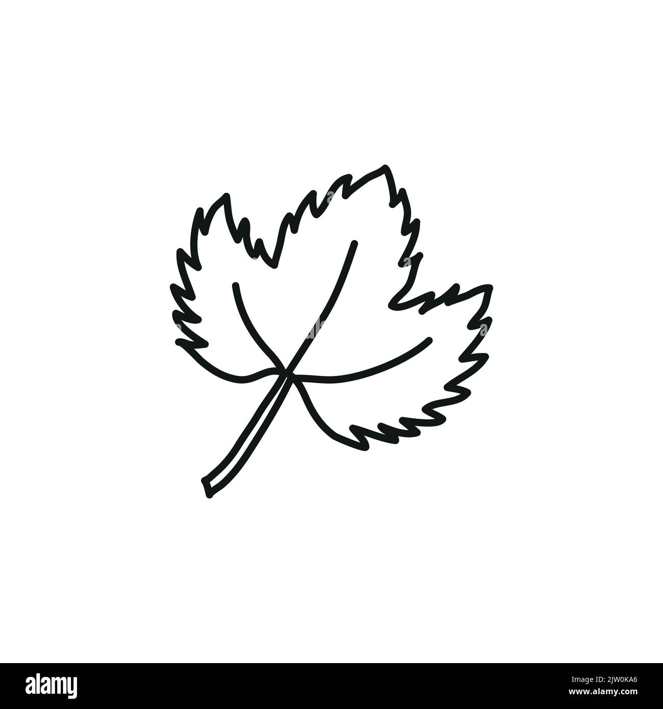 Doodle outline grape leaf isolated on white background. Stock Vector