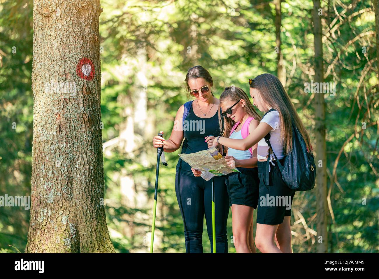 Group of hikers looks at a map beside a tree with a hiking trail sign Stock Photo