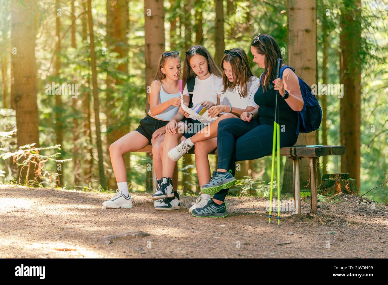 Female hikers sit on a  wooden bench in a forest path and read a map of hiking trails Stock Photo