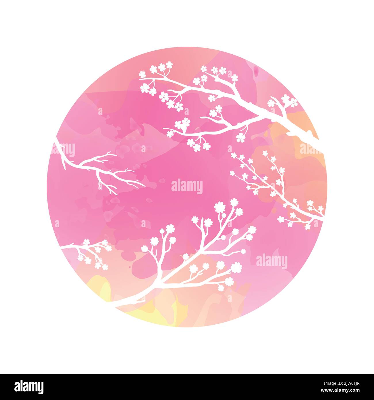 Watercolor circle in pink, yellow colors with blooming sakura branch silhouettes isolated on white background. Stock Vector