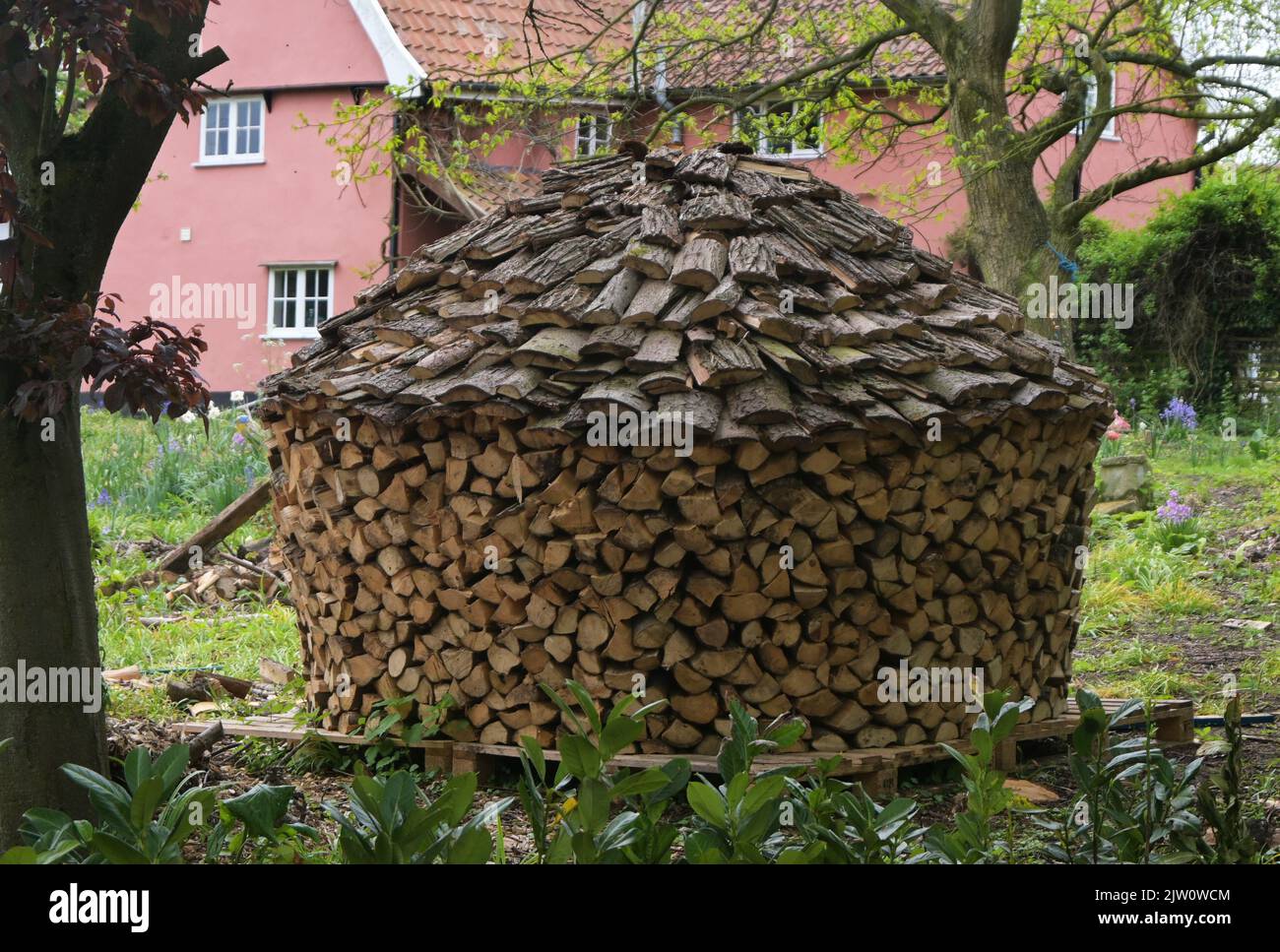 circular firewood stack, uk, Stock Photo