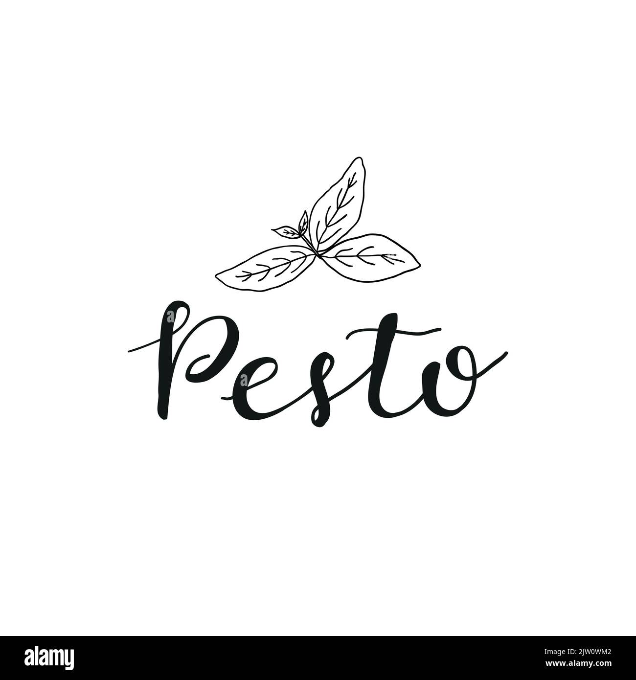 Hand written lettering pesto with basil leaves isolated on white