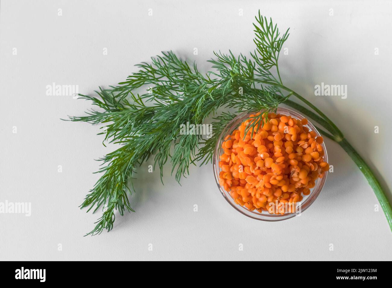 Red lentils. Benefits of legumes. National cuisine. Source of omega