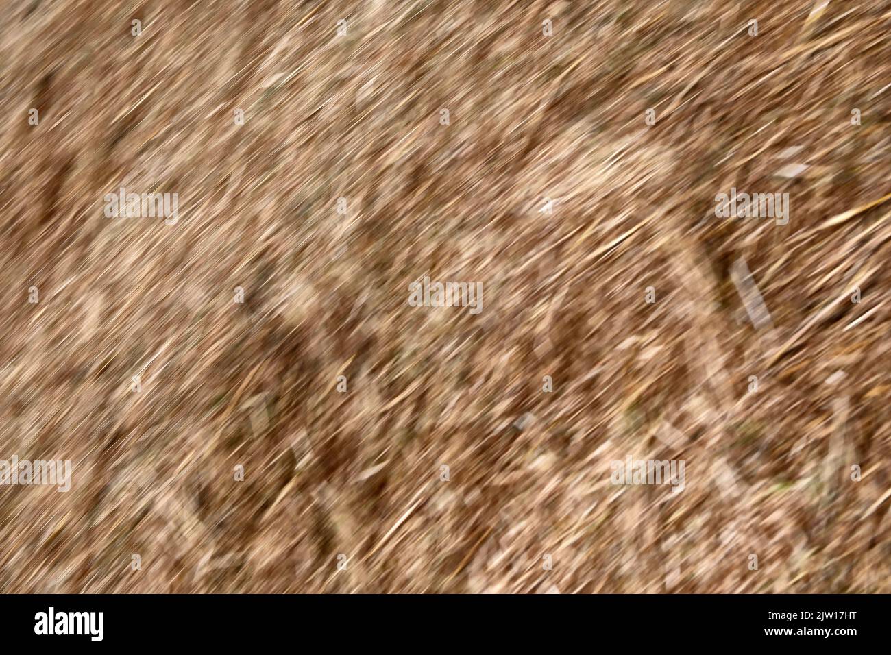 abstract image of straw Stock Photo