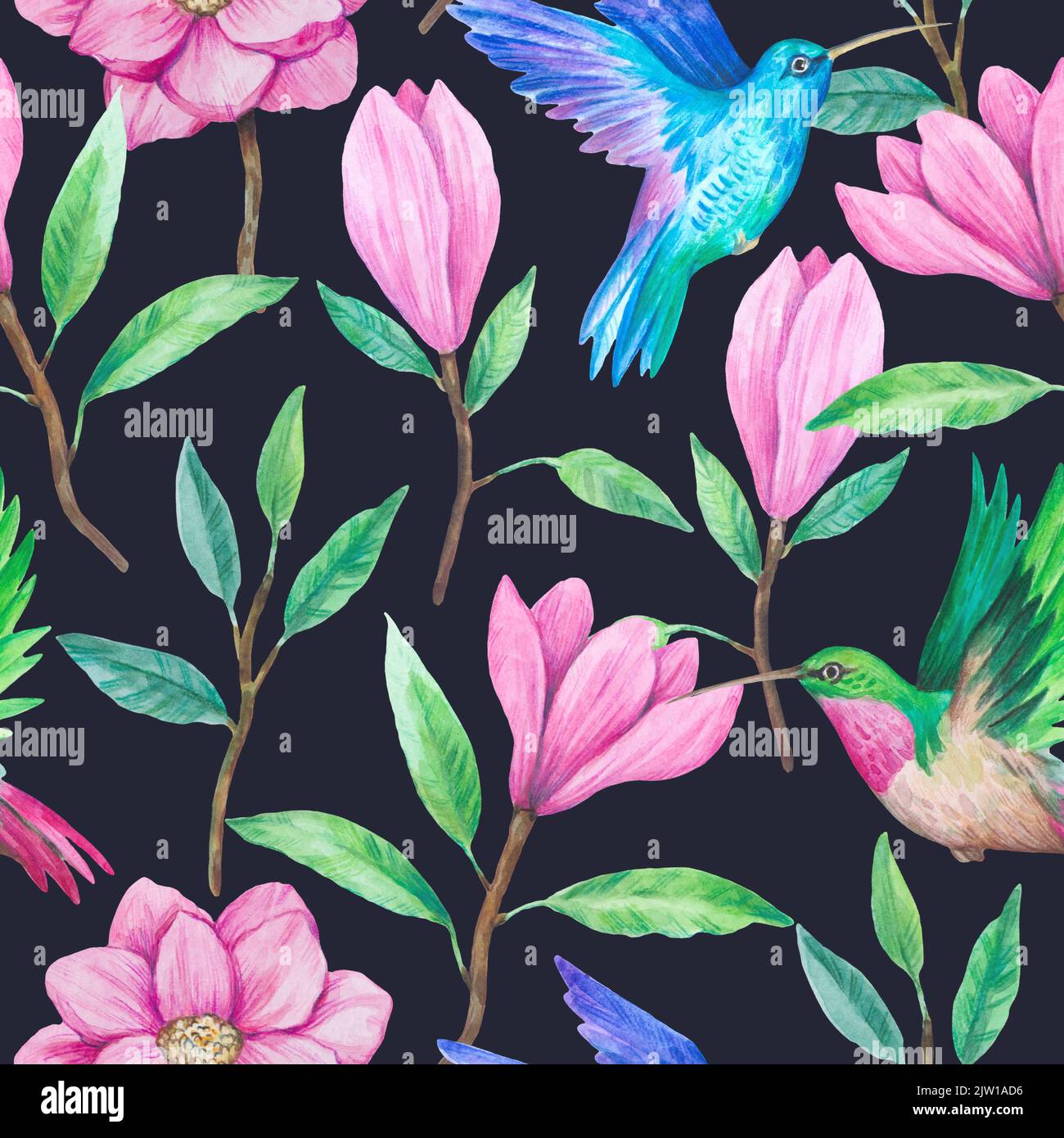 Hummingbirds and magnolia flowers. Watercolor illustration. Seamless ...