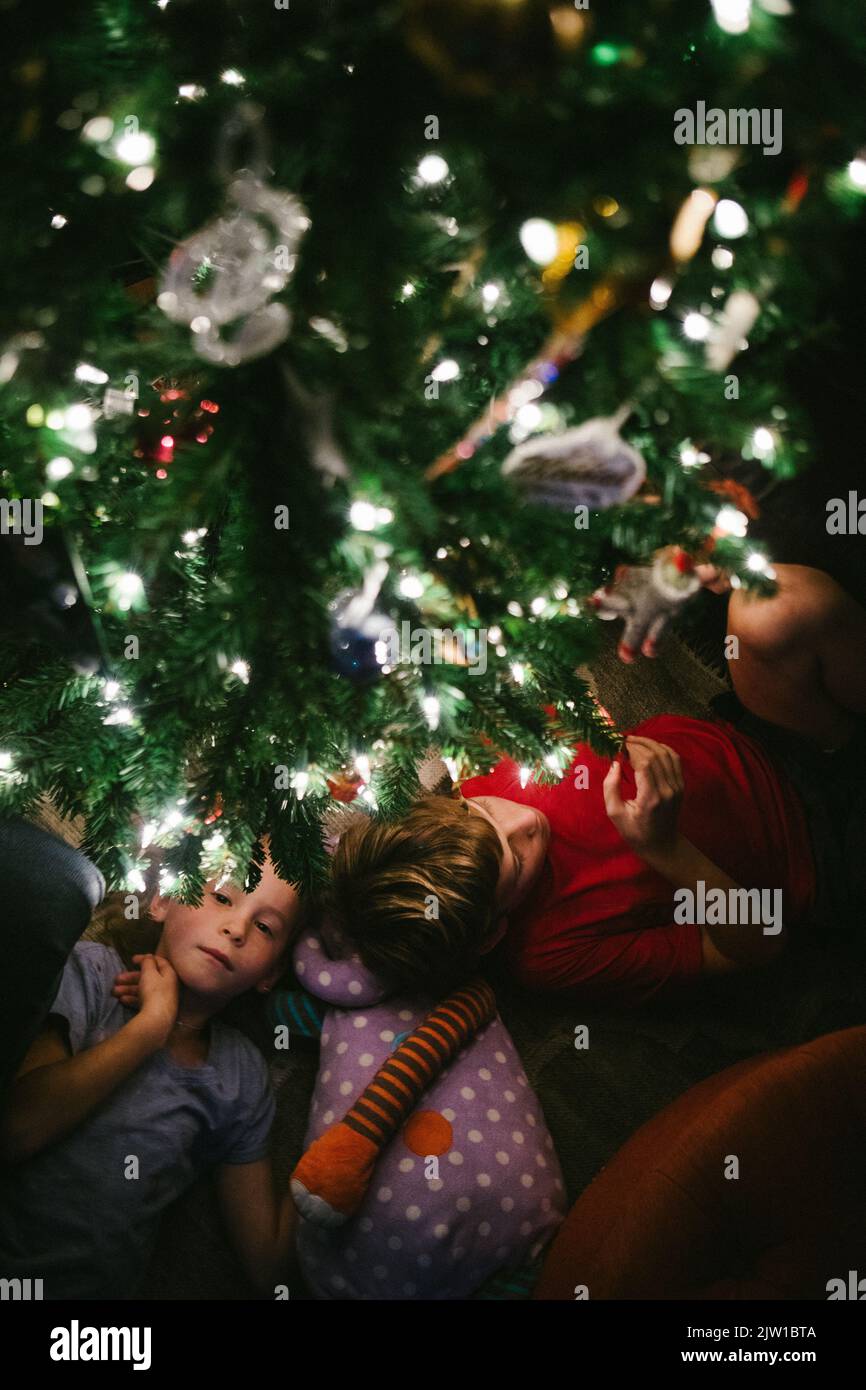 Brother and sister lay under the christmas tree lights and ornaments Stock Photo