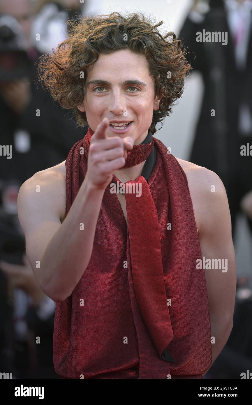 Venezia, Italy. 02nd Sep, 2022. Timothee Chalamet attends the "Bones And All" red carpet at the 79th Venice International Film Festival on September 02, 2022 in Venice, Italy. Photo by Rocco Spaziani/UPI Credit: UPI/Alamy Live News Stock Photo