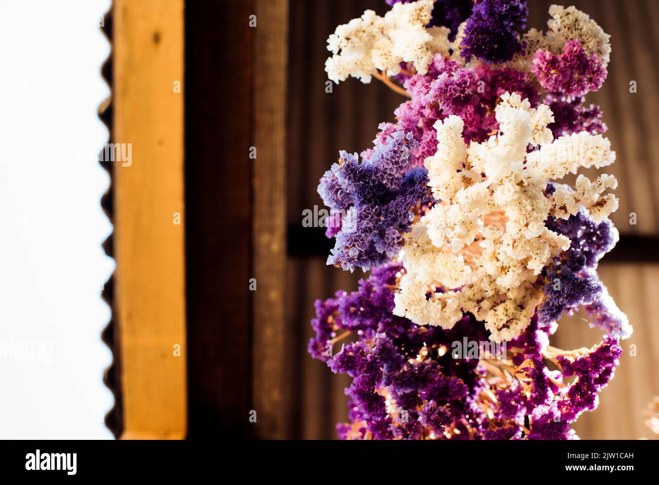 flowers drying upside down in a barn Stock Photo Alamy