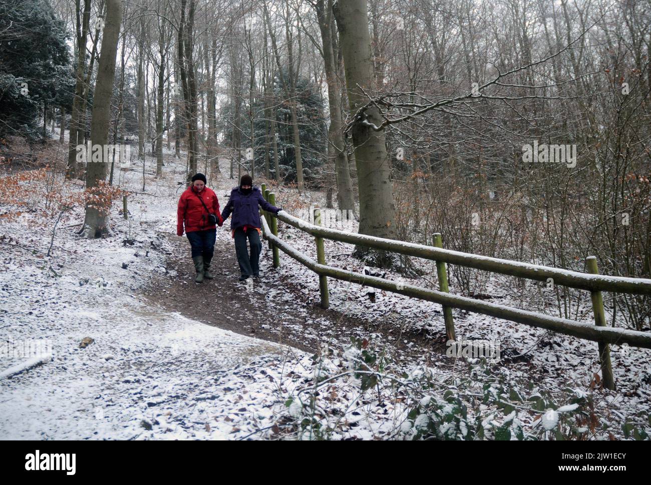 WALKERS IN THE SNOW AT QUEEN ELIZABETH COUNTRY PARK NEAR PETERSFIELD