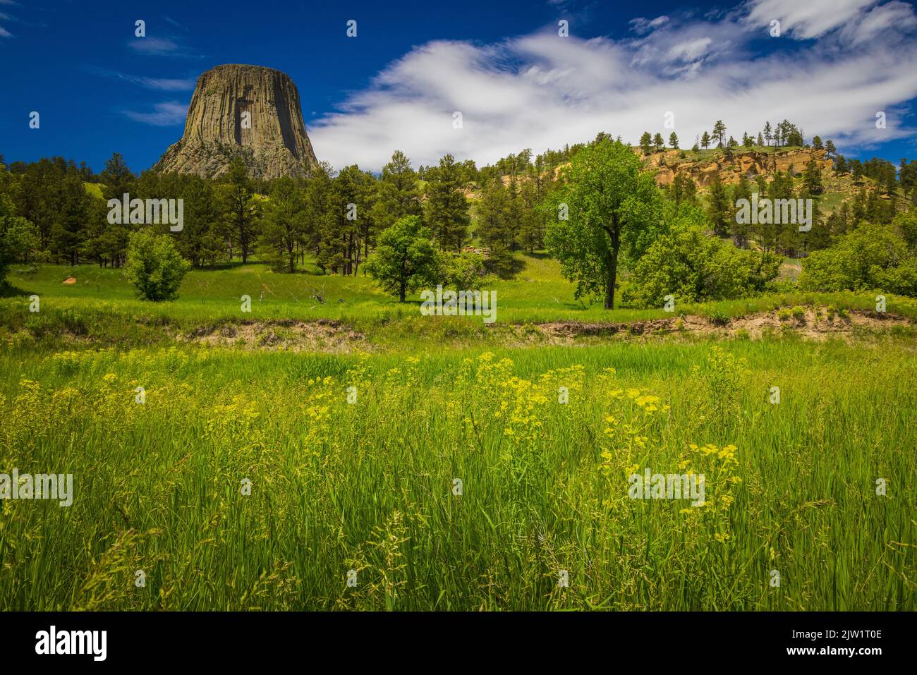 Devils Tower in Wyoming was the first United States national monument, established on September 24, 1906 by President Theodore Roosevelt. Stock Photo