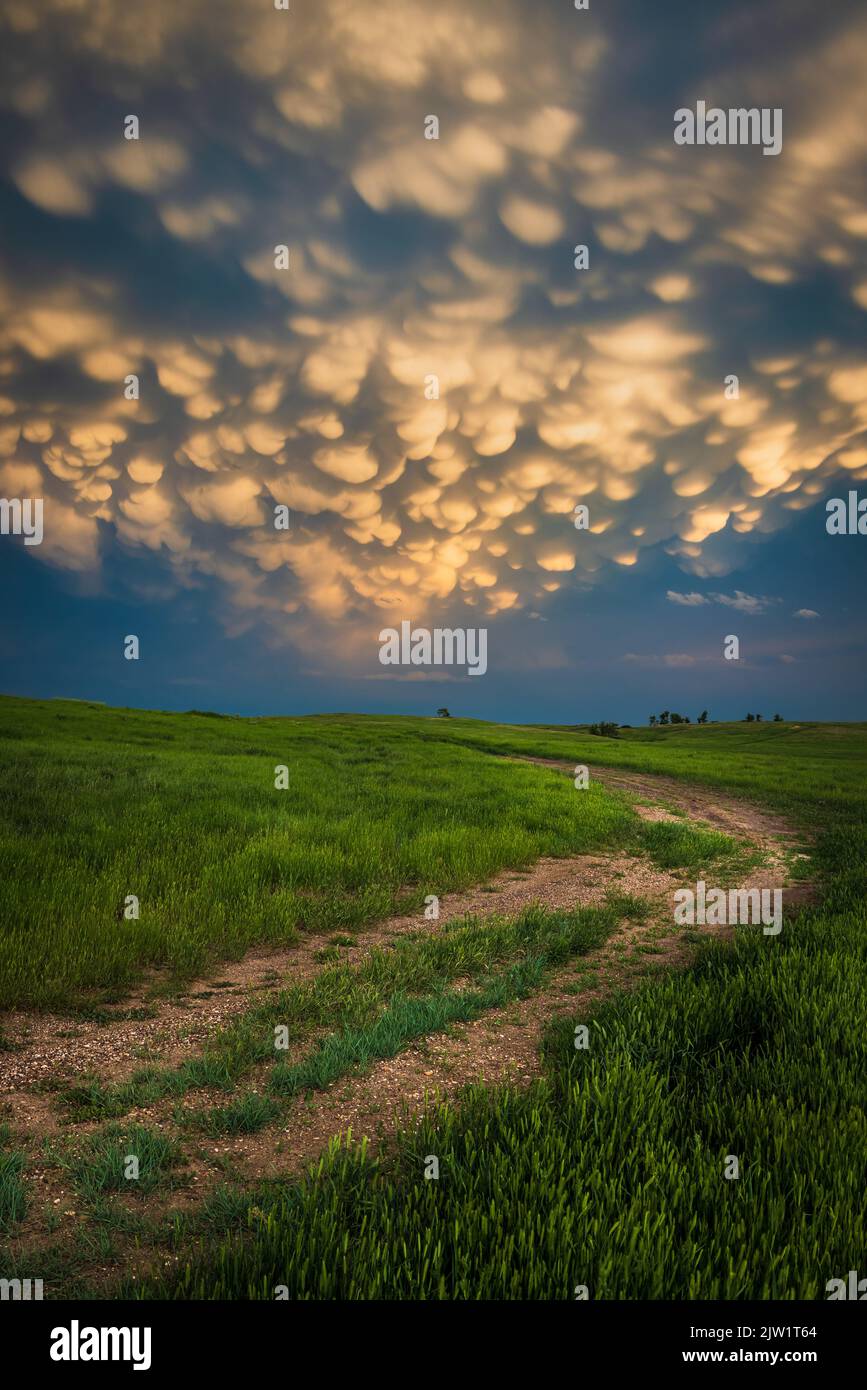 Mammatus clouds over a farm road in South Dakota, near Belle Fourche Stock Photo