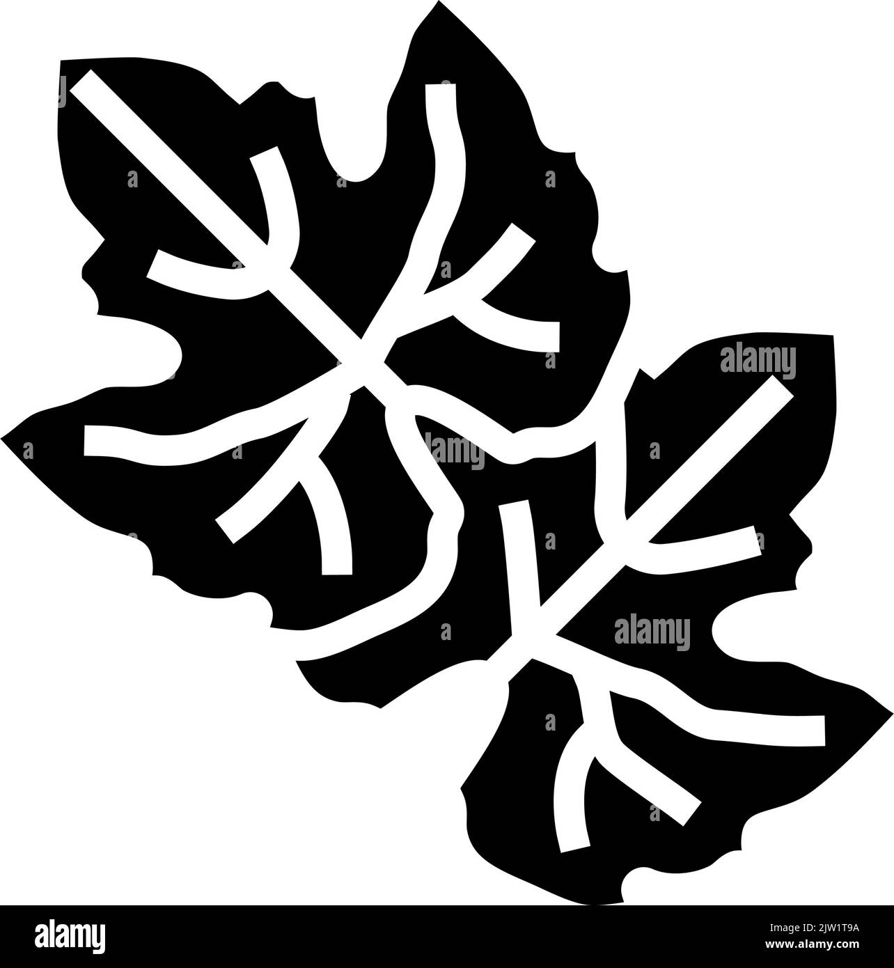 Cluster of green leaves Black and White Stock Photos & Images - Alamy
