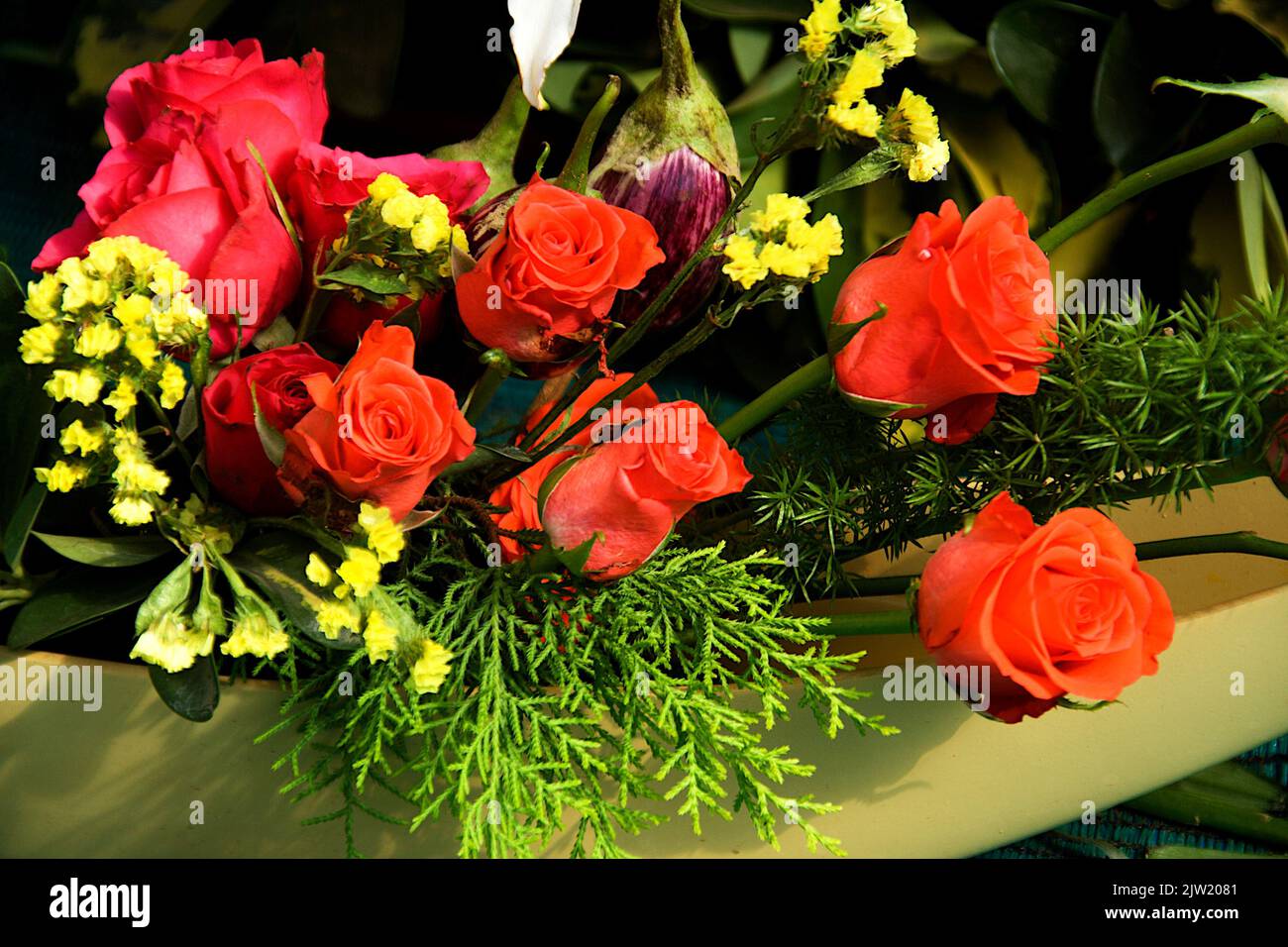 View of prominent bunch of red roses at Republic Day Flower Show in Lalbagh, Bengaluru, India, Asia Stock Photo