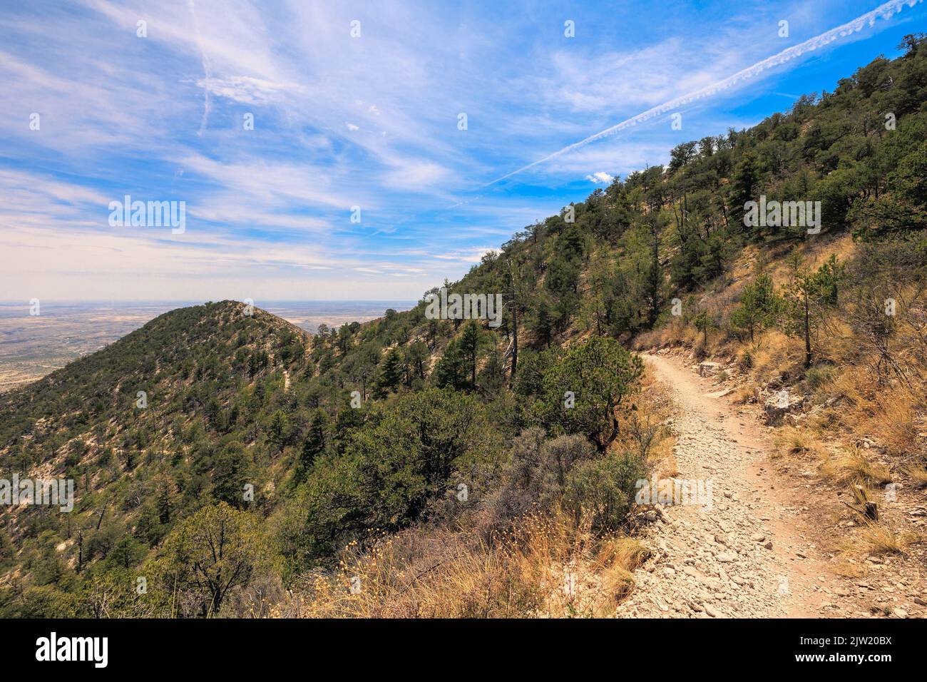 The mountain trail of Guadalupe Peak Stock Photo Alamy