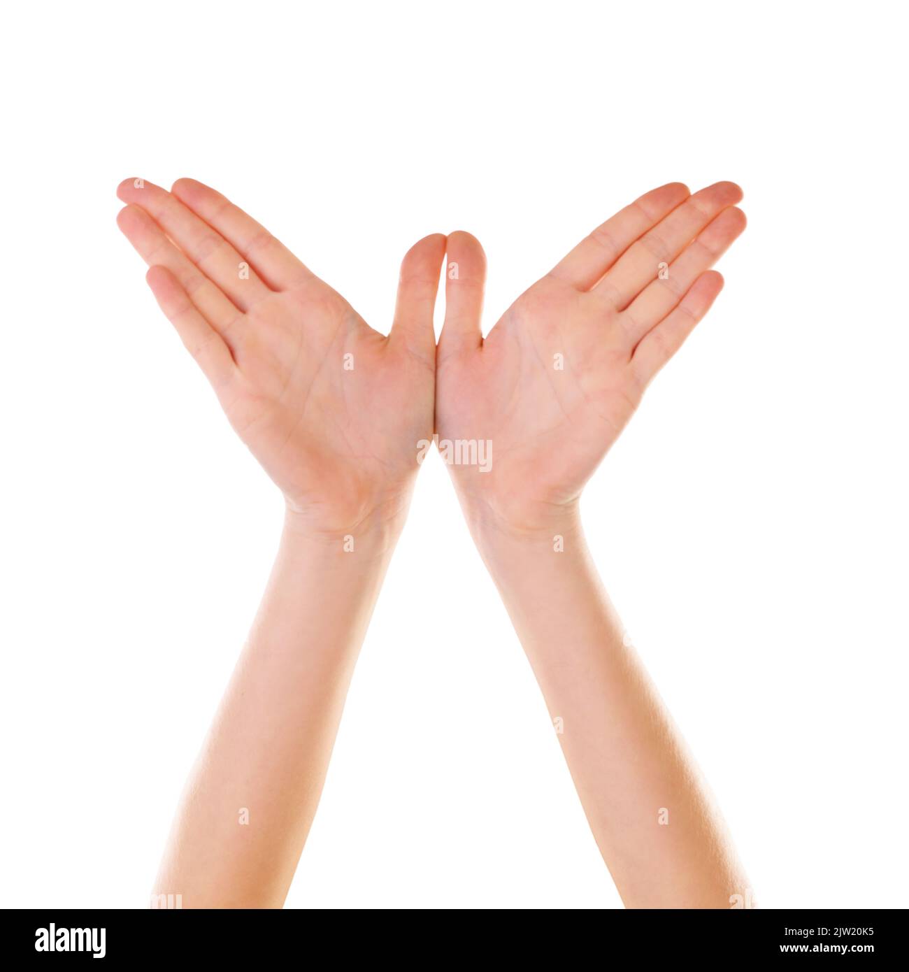Fly away. hands showing a gesture isolated on white. Stock Photo